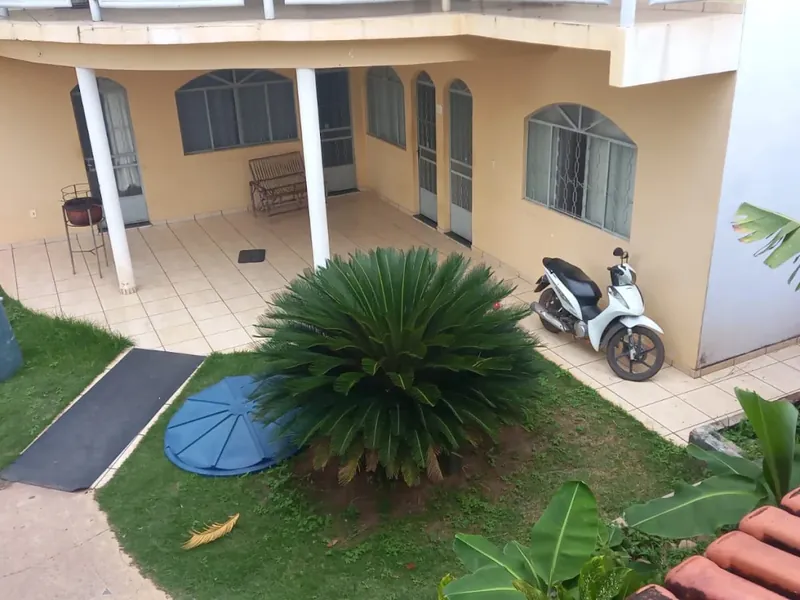 Jardim interno com canteiro central e palmeira