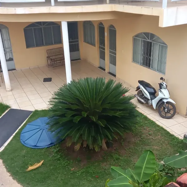 Jardim interno com canteiro central e palmeira