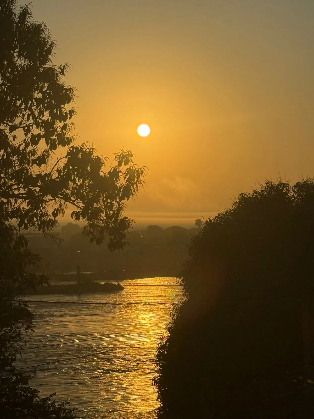Sol nascendo sobre o Rio São Francisco, com árvores em silhueta
